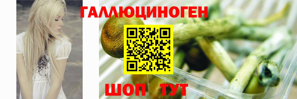 Челябинск  Псилоцибиновые грибы GOLDEN TEACHER  Галлюциногенные грибы Psilocybine cubensis  Вход с VPN 